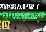 微信世界杯在哪里赌球-微信世界杯，谨慎对待赌球风险