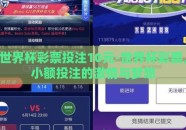 世界杯彩票投注10元-世界杯彩票，小额投注的激情与梦想