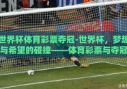 世界杯体育彩票夺冠-世界杯，梦想与希望的碰撞——体育彩票与夺冠的金色瞬间