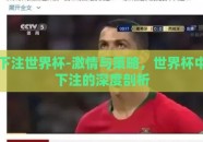 下注世界杯-激情与策略，世界杯中下注的深度剖析