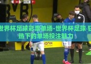 世界杯足球彩票单场-世界杯足球 狂热下的单场投注魅力