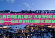 世界杯哪里有彩票站-尽享激情观赛间——探访世界杯期间的彩票站秘境