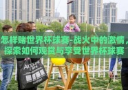 怎样赌世界杯球赛-战火中的激情，探索如何观赏与享受世界杯球赛