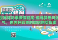 世界杯彩票微信能买-追寻梦想与运气，世界杯彩票的微信购买探索