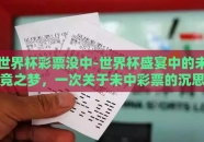 世界杯彩票没中-世界杯盛宴中的未竟之梦，一次关于未中彩票的沉思