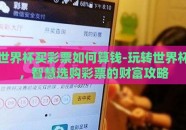 世界杯买彩票如何算钱-玩转世界杯，智慧选购彩票的财富攻略