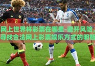 网上世界杯彩票在哪里-避开风险，寻找合法网上彩票娱乐方式的明智选择