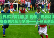 世界杯决赛彩票图-揭秘，世界杯决赛夜的光辉与梦想——一张彩票图背后的故事