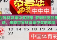 世界杯彩票中奖结果-梦想照亮的奇迹，揭晓世界杯彩票中奖的瞬间