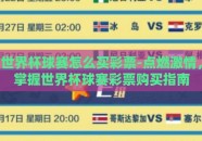 世界杯球赛怎么买彩票-点燃激情，掌握世界杯球赛彩票购买指南
