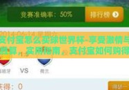 支付宝怎么买球世界杯-享受激情与胜算，实用指南，支付宝如何购得世界杯球赛的观赛机会