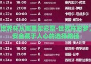 世界杯从哪里买彩票-世界杯彩梦，安全藏于人心的选择路径