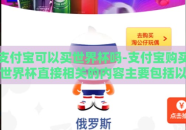 支付宝可以买世界杯吗-支付宝购买世界杯直接相关的内容主要包括以下几个层面