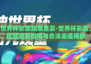 世界杯彩票跟哪里买-世界杯彩票，智慧购买指南与合法渠道揭秘