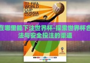 在哪里能下注世界杯-探索世界杯合法与安全投注的渠道