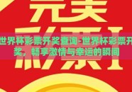 世界杯彩票开奖查询-世界杯彩票开奖，畅享激情与幸运的瞬间