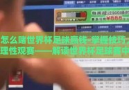 怎么赌世界杯足球赢钱-掌握技巧，理性观赛——解读世界杯足球赛中的乐趣与智慧