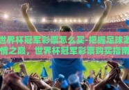 世界杯冠军彩票怎么买-把握足球激情之巅，世界杯冠军彩票购买指南