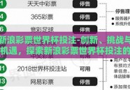 新浪彩票世界杯投注-创新、挑战与机遇，探索新浪彩票世界杯投注的新篇章