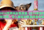 2014世界杯彩票奖金-2014年世界杯彩票，令人瞩目的奖金想象与现实