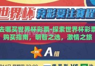 去哪买世界杯彩票-探索世界杯彩票购买指南，明智之选，激情之旅