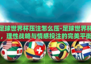 足球世界杯压注怎么压-足球世界杯，理性战略与情感投注的完美平衡
