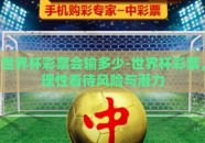 世界杯彩票会输多少-世界杯彩票，理性看待风险与潜力