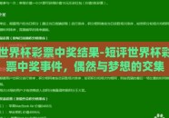 世界杯彩票中奖结果-短评世界杯彩票中奖事件，偶然与梦想的交集