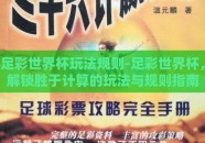 足彩世界杯玩法规则-足彩世界杯，解锁胜于计算的玩法与规则指南