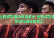 世界杯彩票中奖有多少-世界杯彩票，梦想与现实的交汇