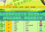 足彩世界杯玩法介绍-足彩世界杯策略与玩法解析，精炼制胜之道