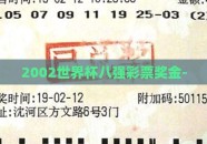 2002世界杯八强彩票奖金-