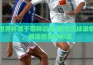 世界杯属于哪种彩票-痛快足球激情，解读世界杯彩票