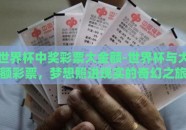 世界杯中奖彩票大金额-世界杯与大额彩票，梦想照进现实的奇幻之旅
