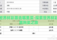 世界杯彩票去哪里买-探索世界杯彩票购买之旅