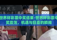 世界杯彩票中奖结果-世界杯彩票中奖震荡，机遇与狂喜的瞬间