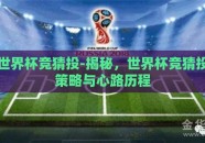 世界杯竞猜投-揭秘，世界杯竞猜投策略与心路历程