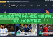 微信能看世界杯吗-微信与世界杯，指尖上的体育盛宴