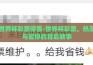 世界杯彩票停售-世界杯彩票，热潮与暂停的背后故事