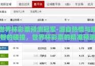 世界杯彩票预测冠军-源自热情与理智的碰撞，世界杯彩票的精准预测策略