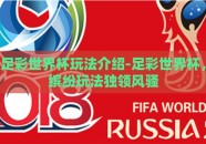 足彩世界杯玩法介绍-足彩世界杯，缤纷玩法独领风骚