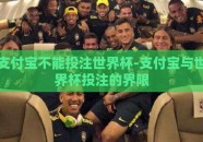 支付宝不能投注世界杯-支付宝与世界杯投注的界限