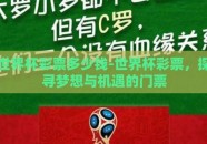 世界杯彩票多少钱-世界杯彩票，探寻梦想与机遇的门票