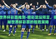世界杯彩票推测-精彩足坛预言，揭秘世界杯彩票的智胜策略