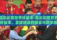 赢彩彩票世界杯版本-赢彩彩票世界杯版本，全球球迷的盛宴与数字娱乐的新篇章
