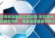 世界杯球赛怎么买彩票-乐在其中，彩梦世界杯，探秘足球盛宴中的小小投注魔法