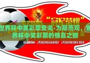 世界杯中奖彩票查询-为期而观，世界杯中奖彩票的惊喜之旅