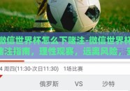 微信世界杯怎么下赌注-微信世界杯赌注指南，理性观赛，远离风险，安全观战