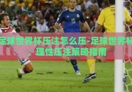 足球世界杯压注怎么压-足球世界杯，理性压注策略指南