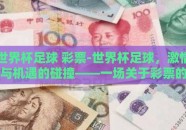 世界杯足球 彩票-世界杯足球，激情与机遇的碰撞——一场关于彩票的独特探索